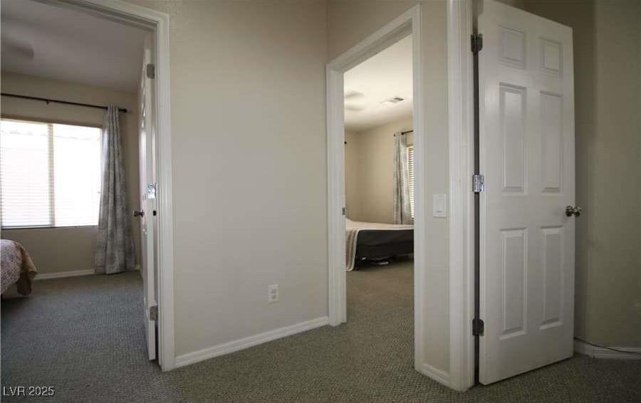 Photo #12