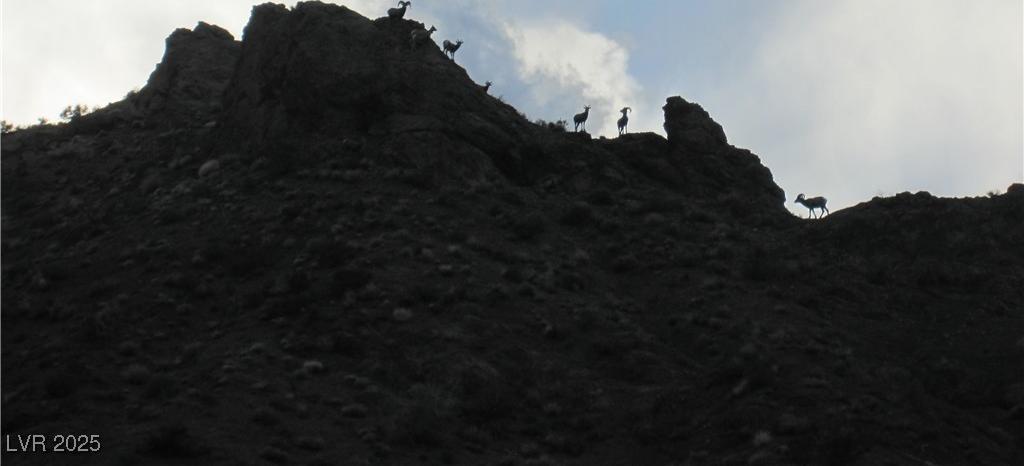 Photo #64