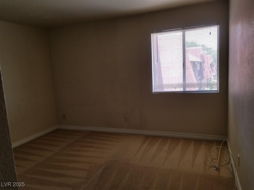 Photo #6