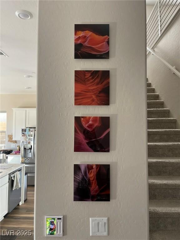 Photo #8
