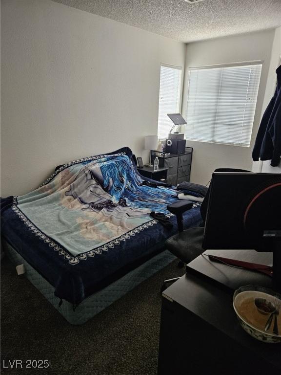 Photo #16
