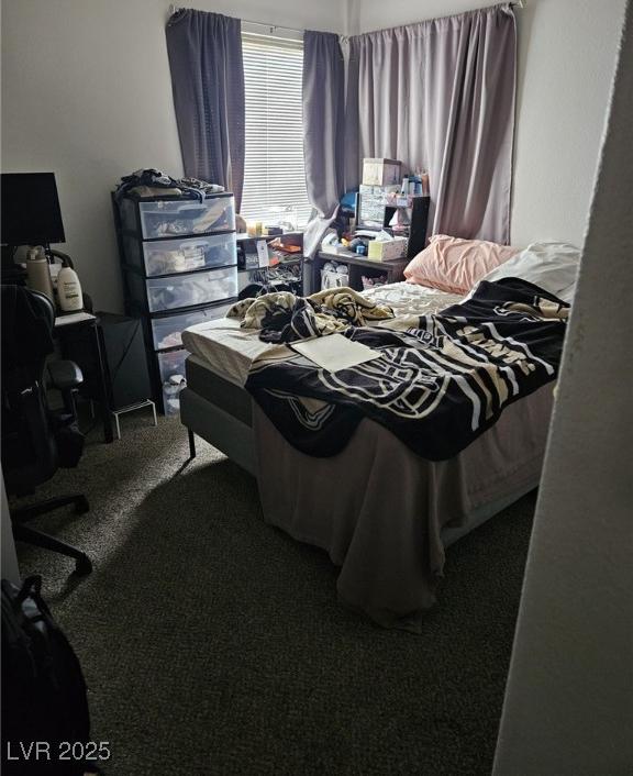 Photo #17