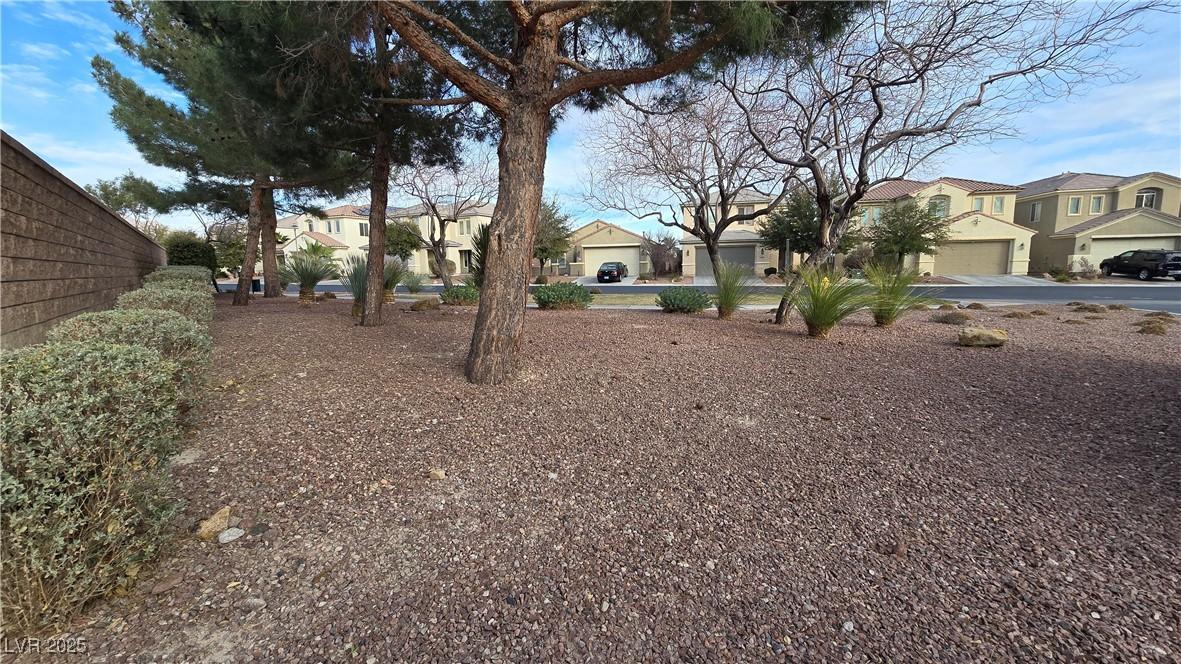 Photo #6