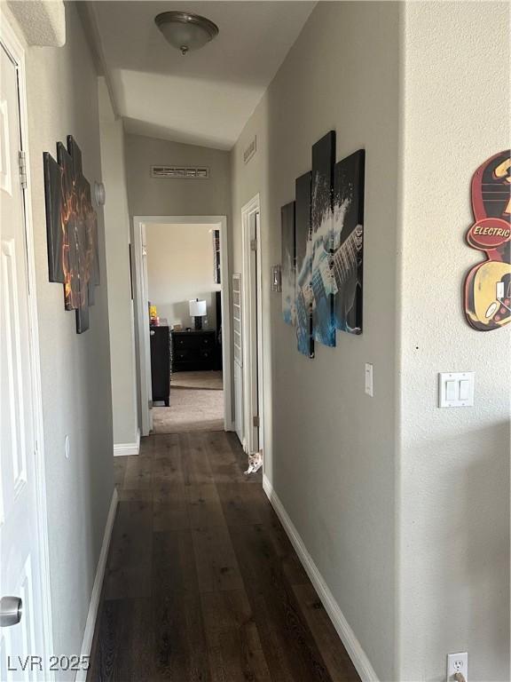Photo #11