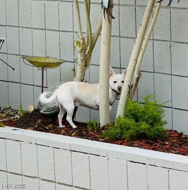 Photo #32