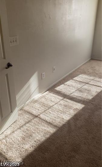 Photo #54