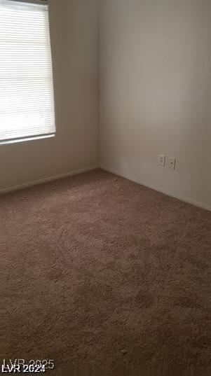 Photo #32