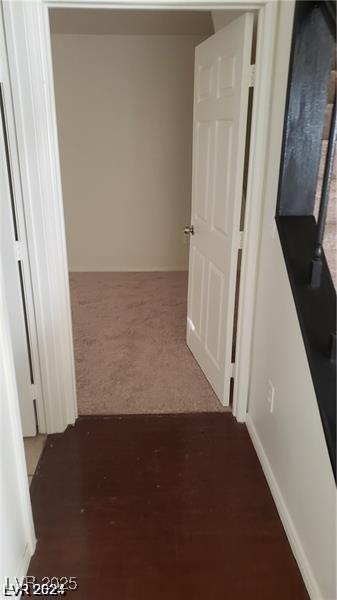 Photo #24