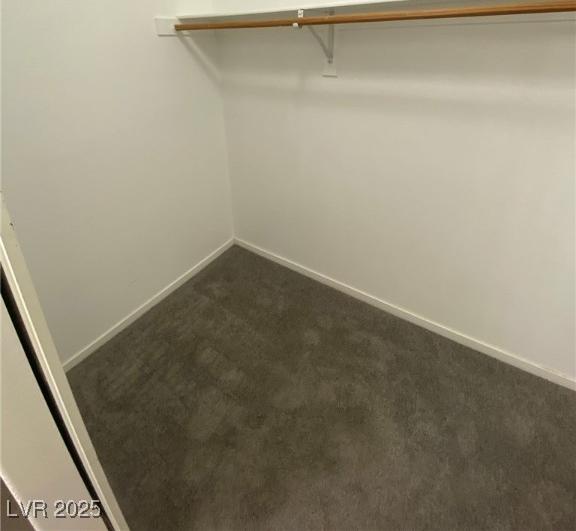 Photo #42