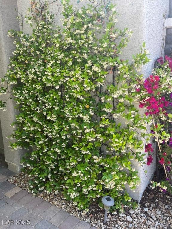 Photo #42
