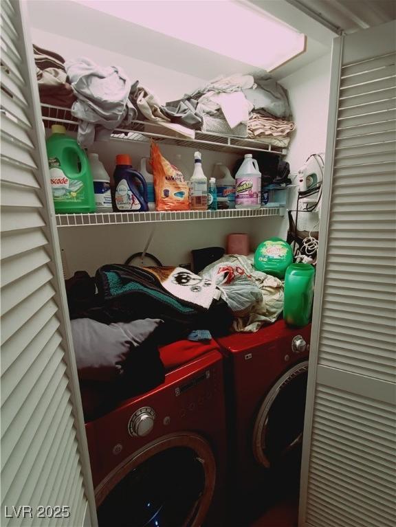 Photo #12