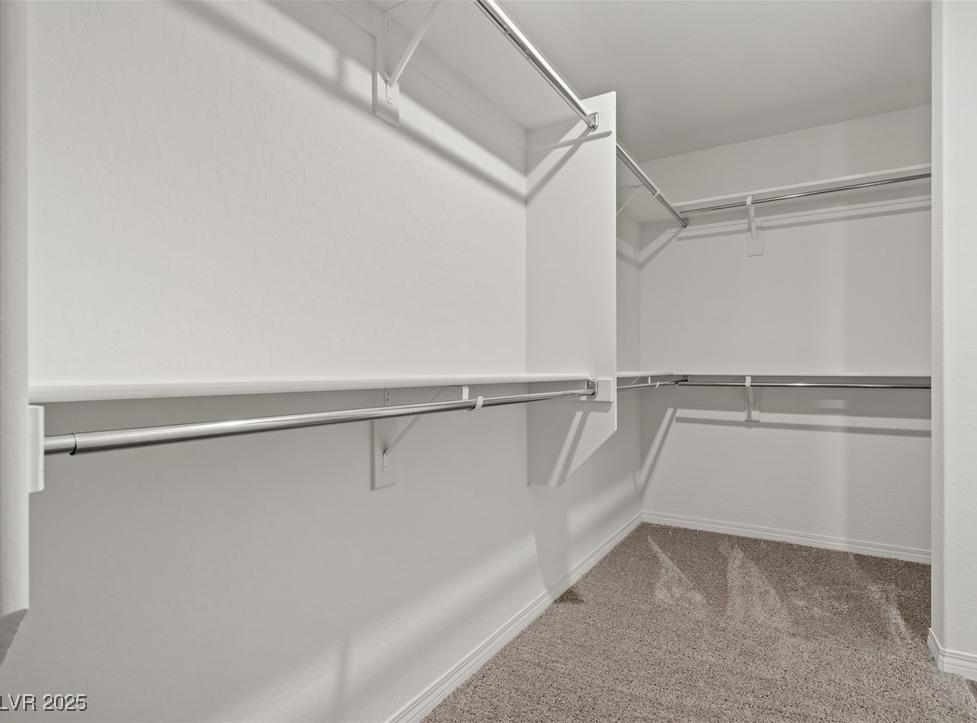 Photo #8