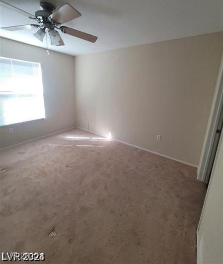 Photo #33