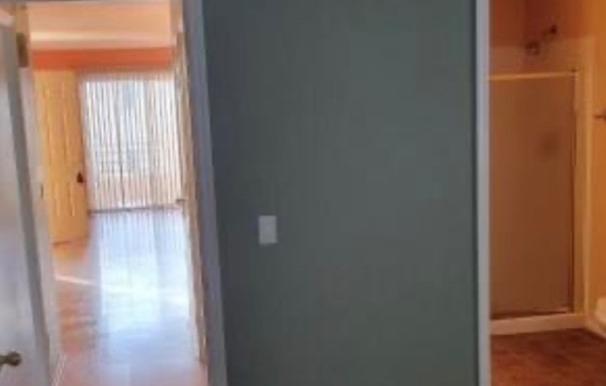 Photo #14