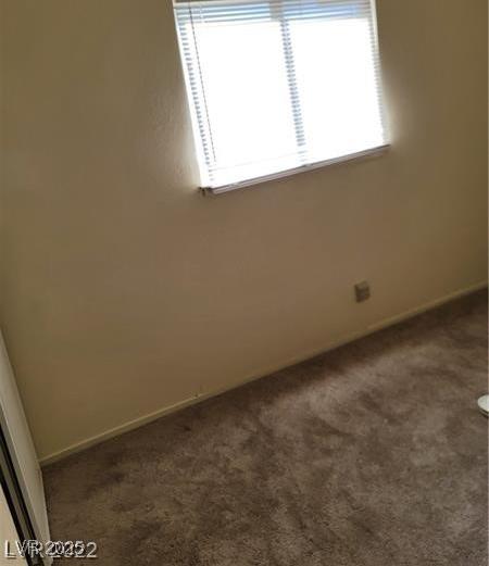 Photo #43