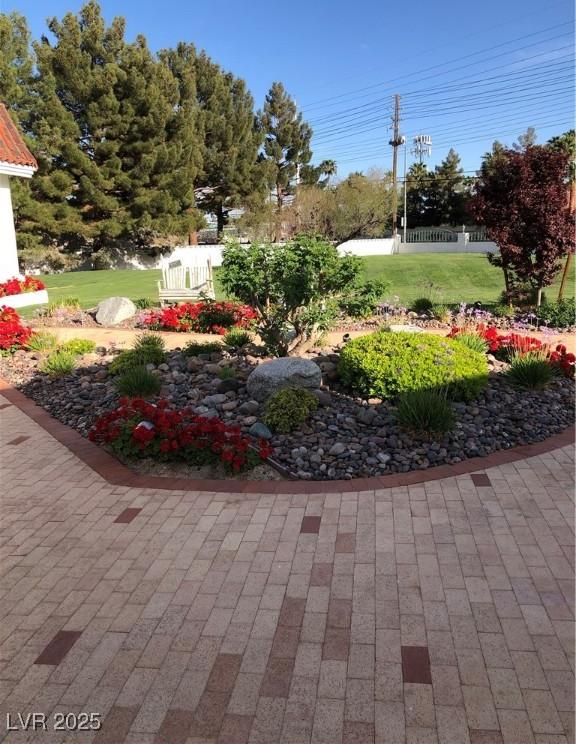 Photo #52