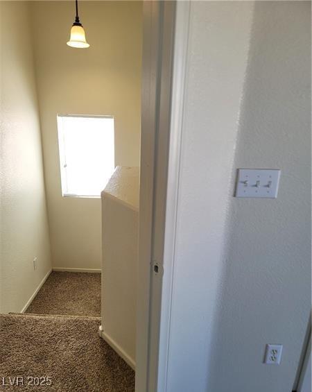 Photo #33