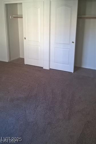 Photo #41