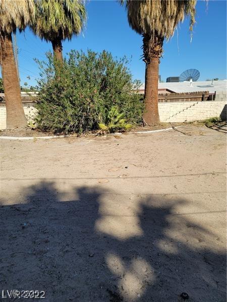 Photo #65