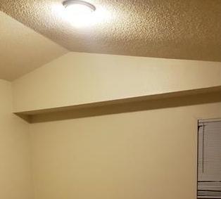 Photo #8