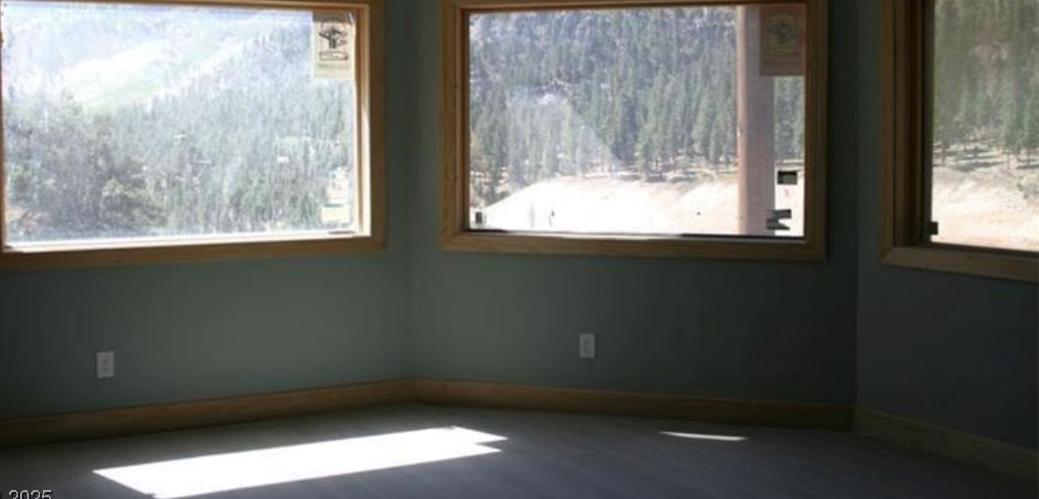 Photo #11