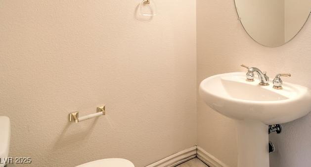 Photo #15