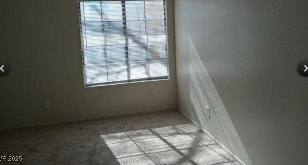 Photo #14