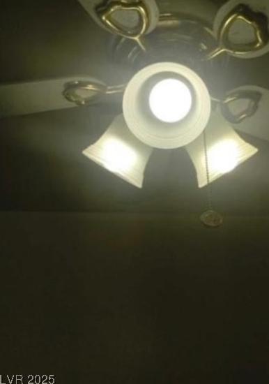 Photo #15