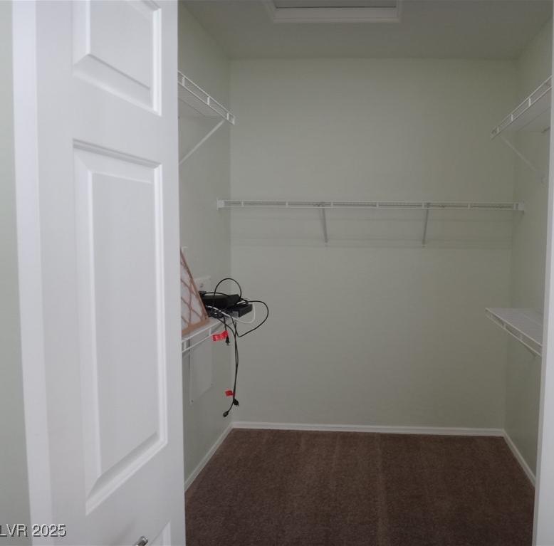 Photo #8