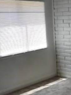 Photo #14