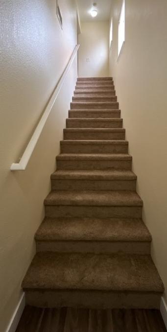 Photo #2