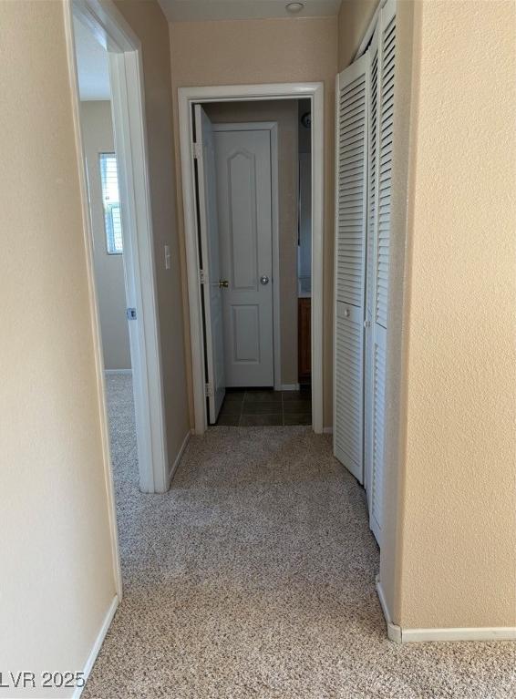 Photo #26