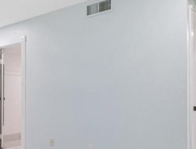 Photo #11