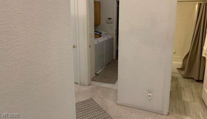 Photo #19
