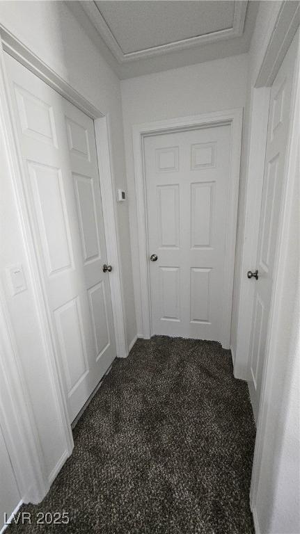 Photo #28