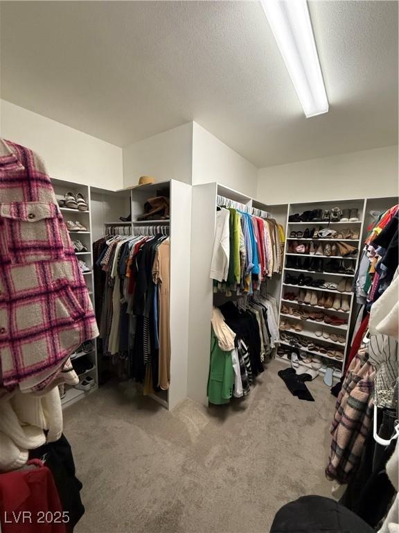 Photo #37