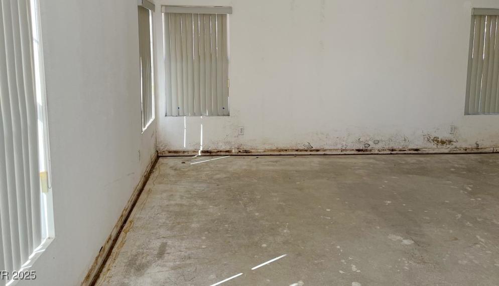 Photo #19