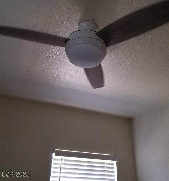 Photo #12