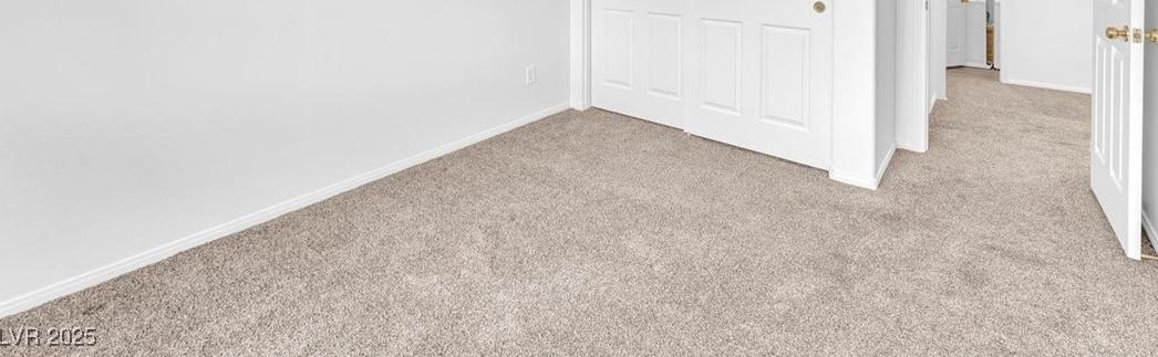 Photo #18