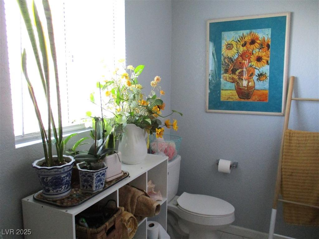 Photo #14