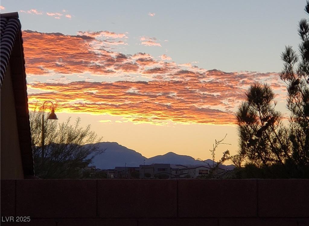 Photo #38