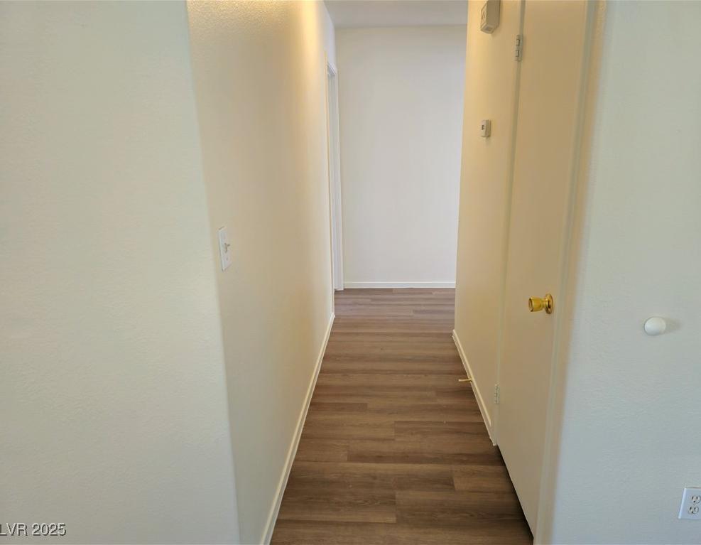 Photo #8