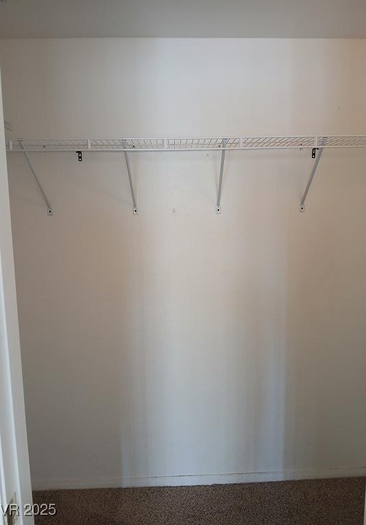 Photo #24