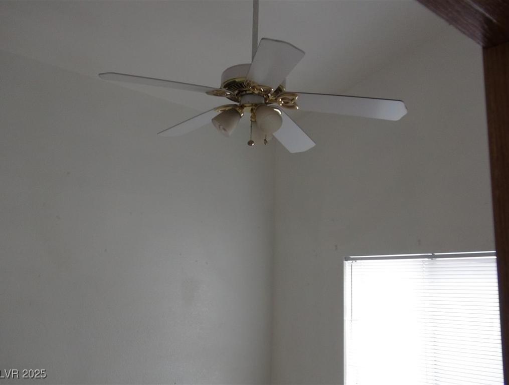 Photo #4