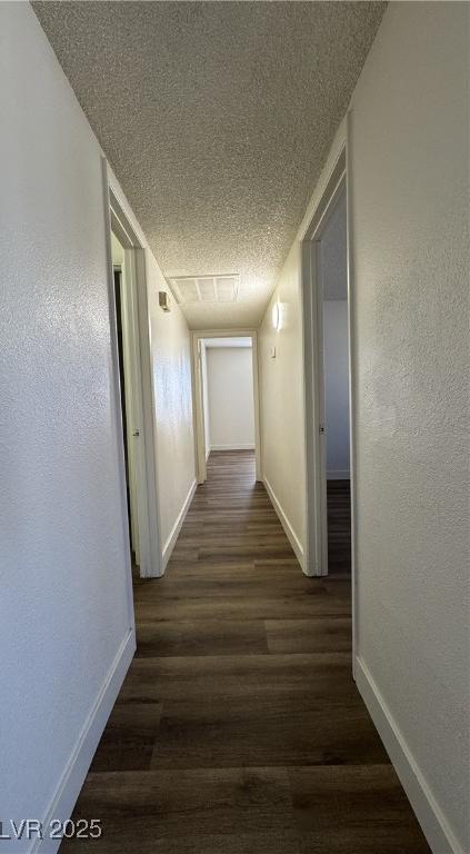 Photo #20