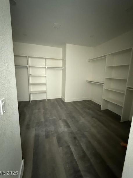 Photo #14