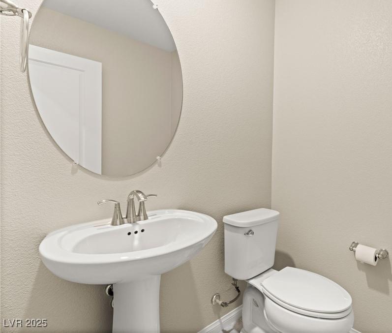 Photo #14