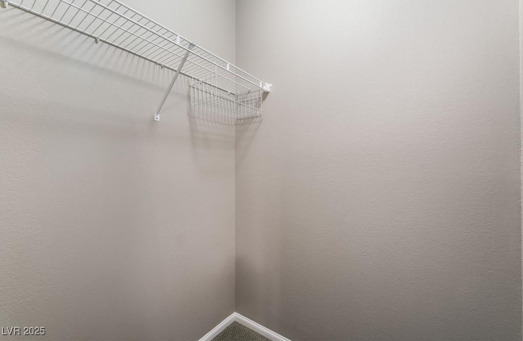 Photo #41