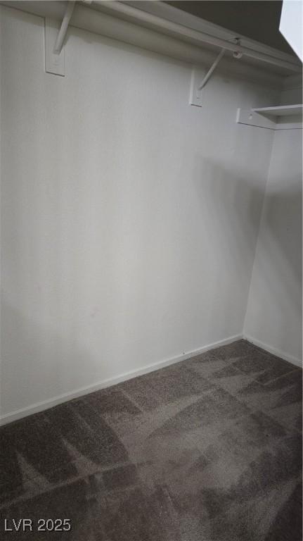 Photo #11