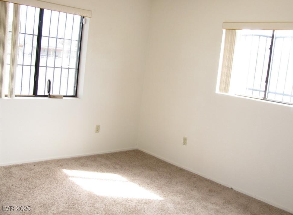Photo #38